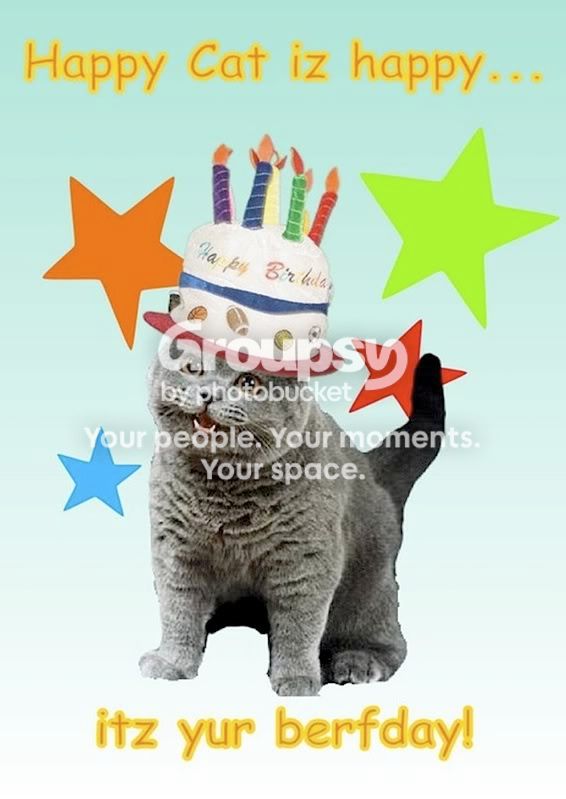 Happy Birthday Cat